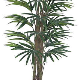 125cm 3 Stem Raphis Leaves Plant In Pot