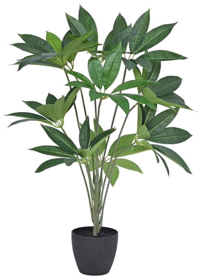 80cm Star Leaf Plant In Pot