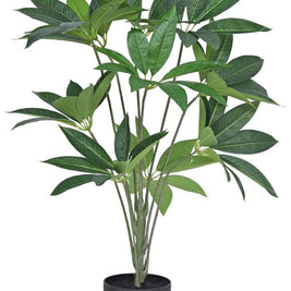 80cm Star Leaf Plant In Pot