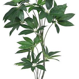 120cm 2 Head Star Leaf Plant In Pot