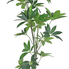 150cm 3 Head Star Leaf Plant In Pot