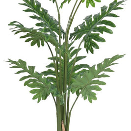 140cm Tall Pappaya Leaf Plant In Pot