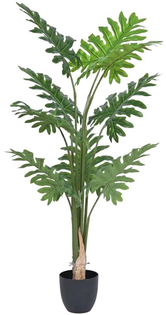 140cm Tall Pappaya Leaf Plant In Pot