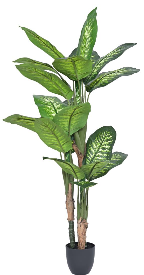 140cm 3 Head Money Plant Leaves Plant In Pot
