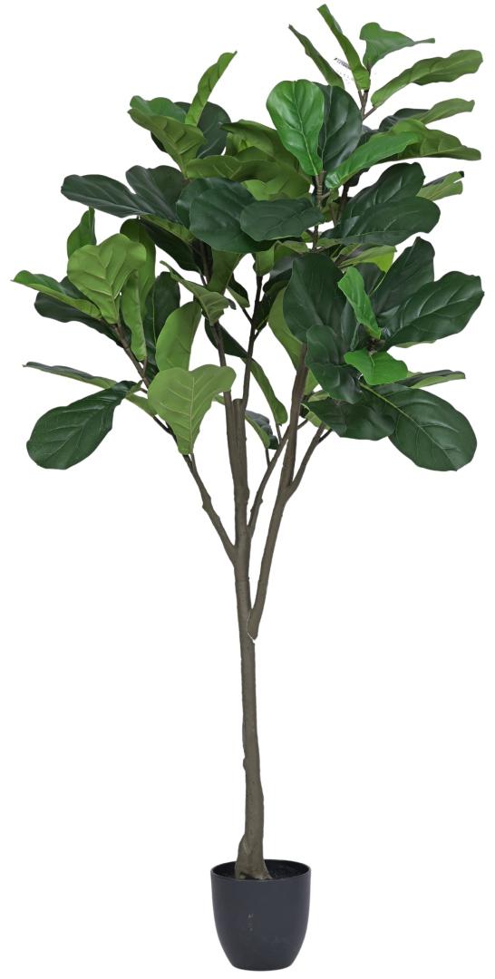 150cm 64 Leaves Fiddle Leaf Plant In Pot