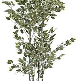 180cm 4 Stem Vericated Ficus Leaves Plant