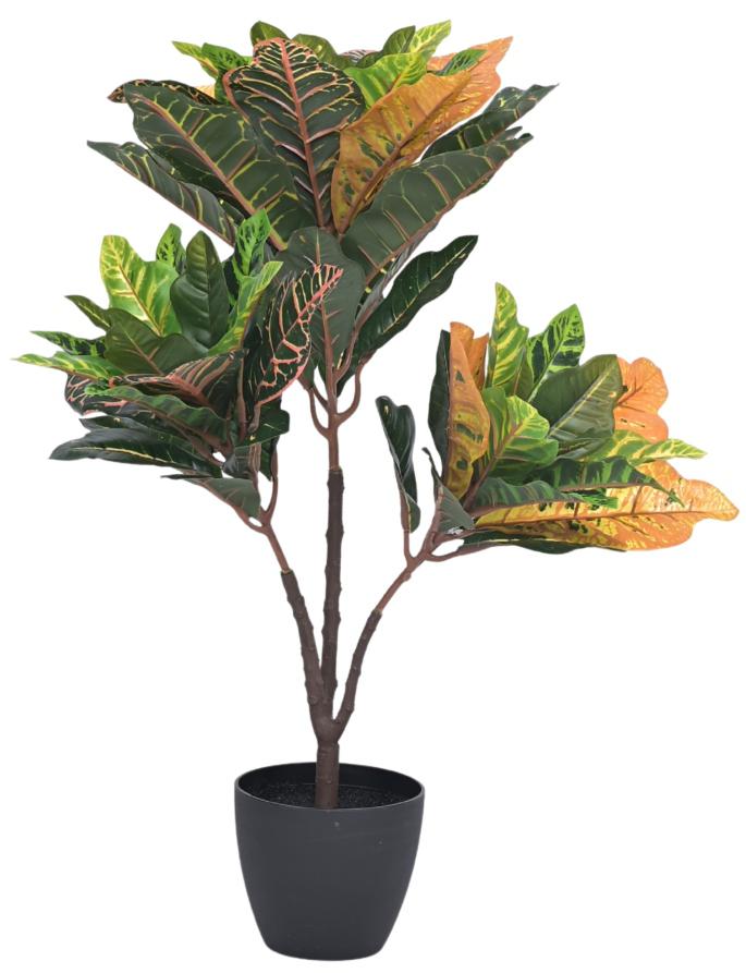 65cm 3 Head Croton Leaf Plant In Pot