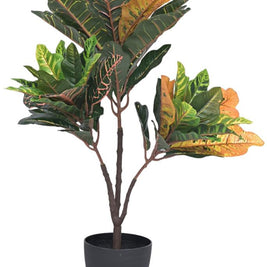 65cm 3 Head Croton Leaf Plant In Pot