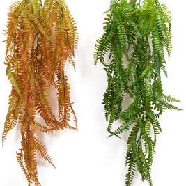 Colour Ferns Hanging Creeper – 80cm