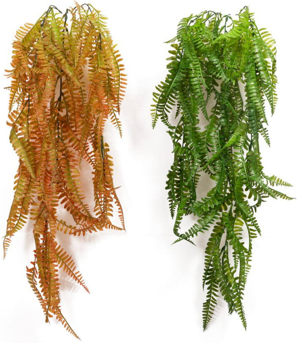 Colour Ferns Hanging Creeper – 80cm