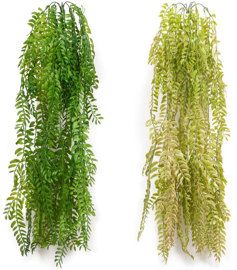 Premium Colour Ferns Hanging Creeper – 86cm