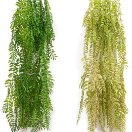 Premium Colour Ferns Hanging Creeper – 86cm