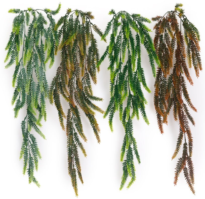 Long New Ferns Hanging Creeper – 81cm