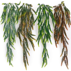 Long New Ferns Hanging Creeper – 81cm
