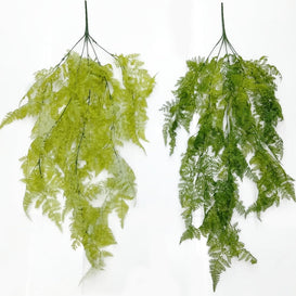 Moss Ferns Hanging Creeper – 81cm
