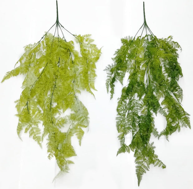 Moss Ferns Hanging Creeper – 81cm