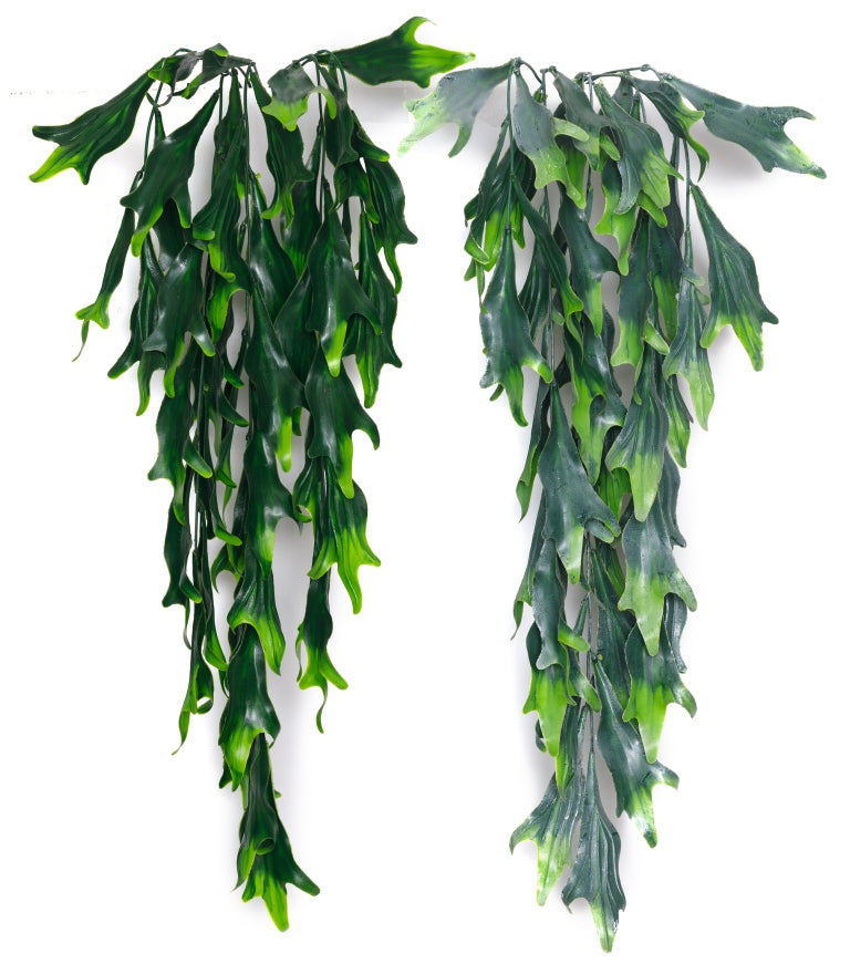 Jumbo Leaf Hanging Creeper – 85cm