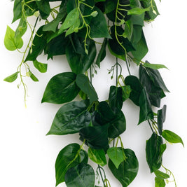 Real Touch Ficus Falling Bush – 88cm