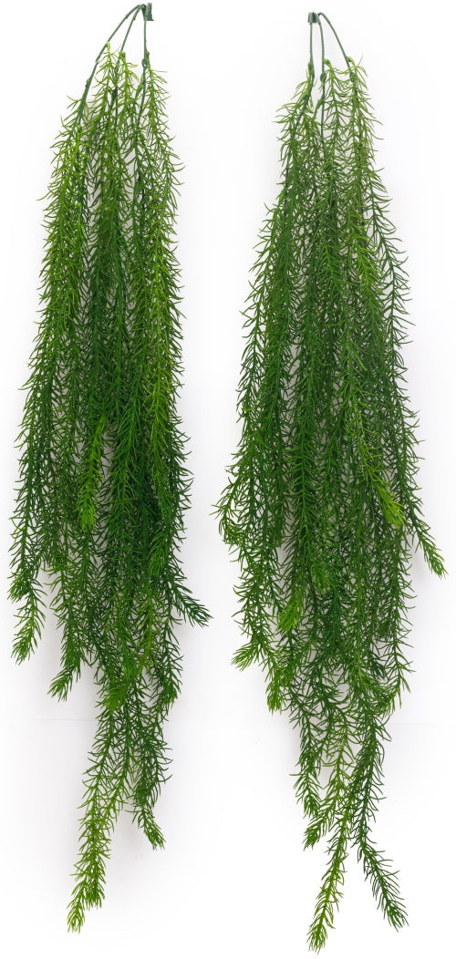 New Colour Asparagus Hanging Creeper – 96cm