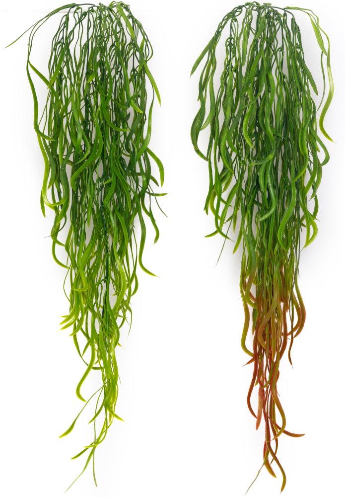 Curling Roots Hanging Creeper – 90cm