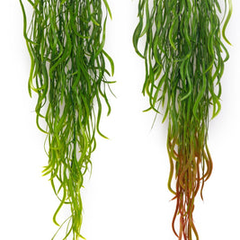 Curling Roots Hanging Creeper – 90cm