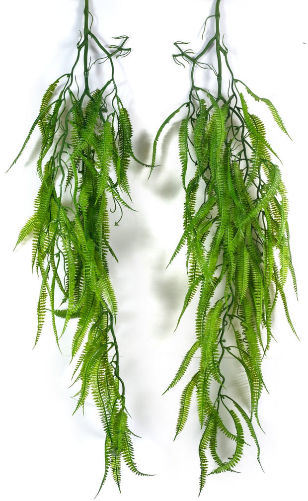 Single Line Ferns Hanging Creeper – 96cm