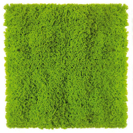 Premium Artificial Vertical Garden Panel – 3600BBB (50 cm × 50 cm)