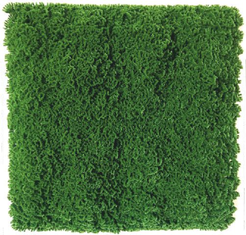 Premium Artificial Vertical Garden Panel – 3600CCC (50 cm × 50 cm)