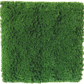 Premium Artificial Vertical Garden Panel – 3600CCC (50 cm × 50 cm)
