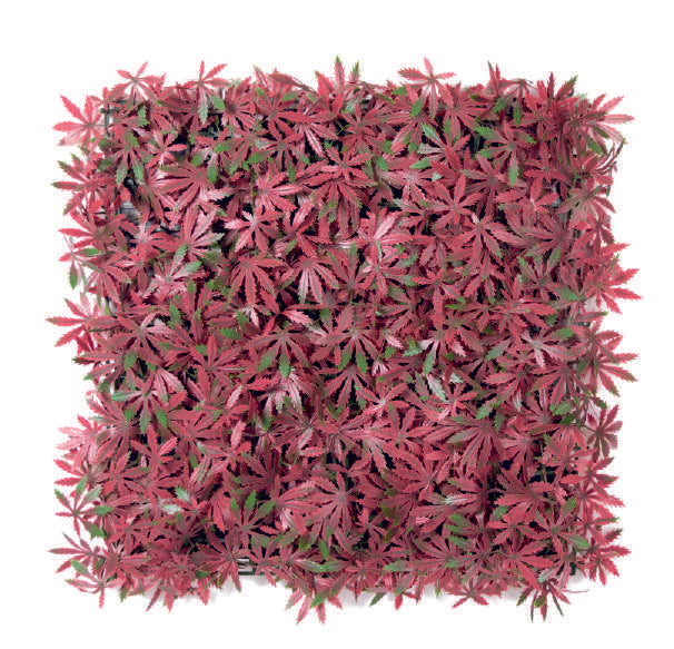 Premium Artificial Vertical Garden Panel – 3600O (50 cm × 50 cm)