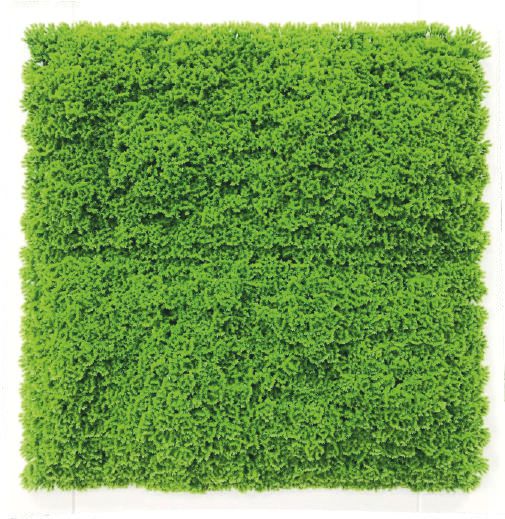 Premium Artificial Vertical Garden Panel – 3600ZZ (50 cm × 50 cm)
