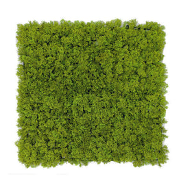 Premium Artificial Vertical Garden Panel – 4100BBB (50 cm × 50 cm)