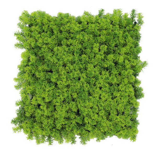 Premium Artificial Vertical Garden Panel – 5100LL (50 cm × 50 cm)